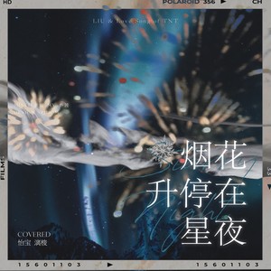 烟花升停在星夜