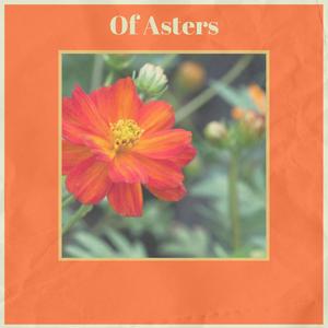 Of Asters