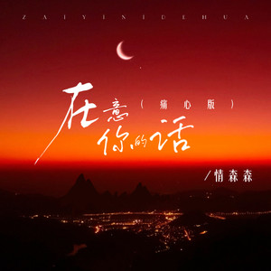 在意你的话-情森森