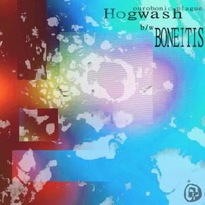 HOGWASH