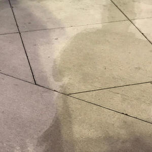 Lots of You in My Life (Lots of You in My Life Feb 2025 Larry Lessard Long Mix 8 Mastered by Rob Fraboni with realfeel® at ShangriLa Mastering Labs)