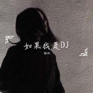 如果我是DJ