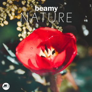 Beamy - The Journey