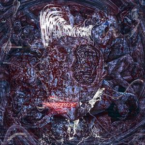 whatsdysmorphia - ...by observing death (Explicit)