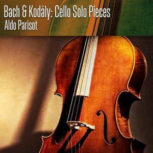 Sonata for Solo Cello in B Minor, Op. 8 - II. Adagio