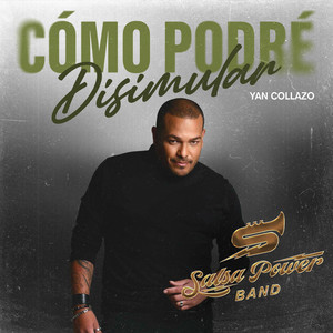 Como Podré Disimular