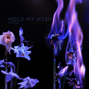 Hold My Wish (Explicit)