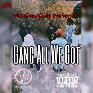 Gang All We Got (Explicit)