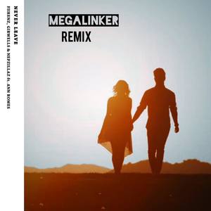 Never Leave (feat. Ann Romes) [Megalinker Remix]