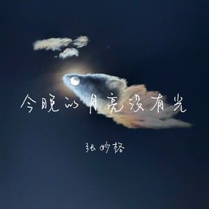 张妙格 - 今晚的月亮没有光 (DJ版)