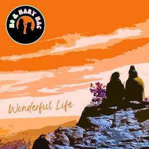 Wonderful Life (Explicit)