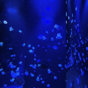 RUN! (feat. Lil Nunu & subhuman)