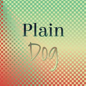 Plain Dog