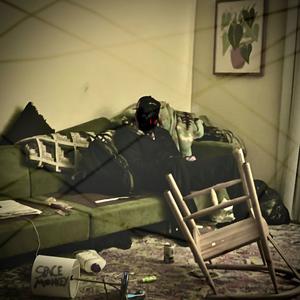 The Weight Of Hypocrisy (feat. TRAILCAM) (Explicit)