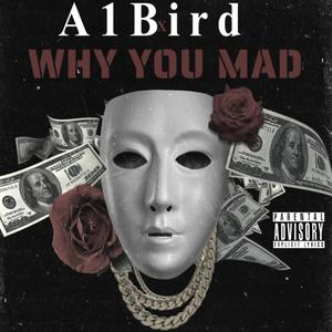 Why You Mad (Explicit)