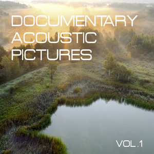 Documentary Acoustic Pictures, Vol. 1