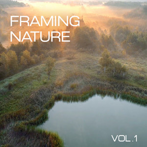 Queens Road - Green Harmony