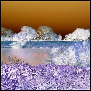 Wild Wild West (feat. Yung Mike & Young Pudge) (Explicit)