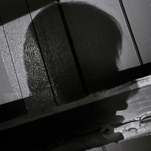 fool (feat. b9rka) (Explicit)