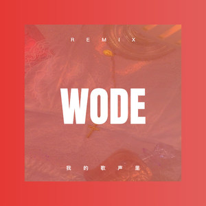 我的歌声里 (Remix)