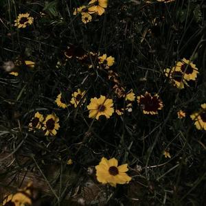 RIGHTEOUS (Explicit)