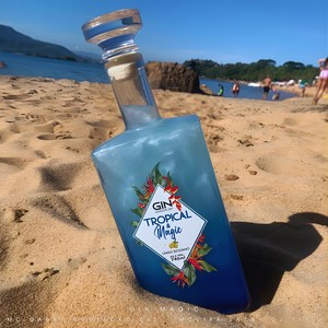 Gin Magic (Explicit)