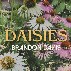 Daisies