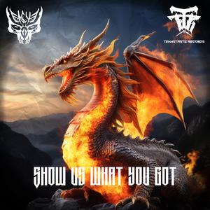 Show us what you got (Original Mix)
