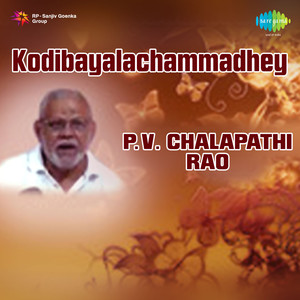 P V Chalapathi Rao