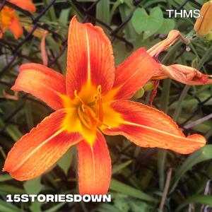 15storiesdown (Explicit)