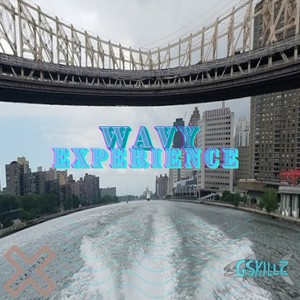 Wavy Experience