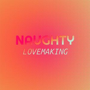 Naughty Lovemaking