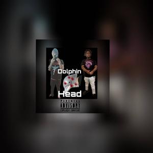 Dolphin Head (feat. FatmanFrm500) [Explicit]