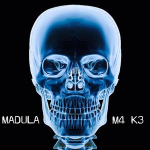 Madula (feat. The Real Kthreee) [Explicit]