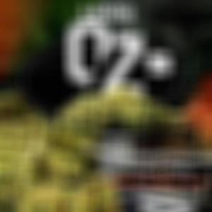 Wins And Losses (Explicit)