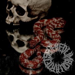 End of Night, the Age of Reason (feat. Newspeak)