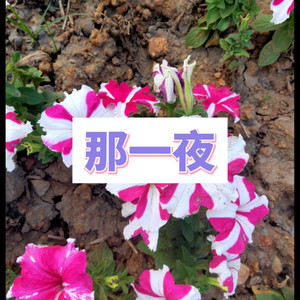 两个世界 (刮刮版)