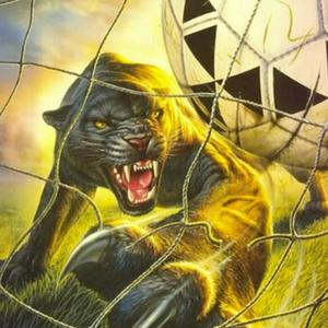 futbol2025 (Explicit)