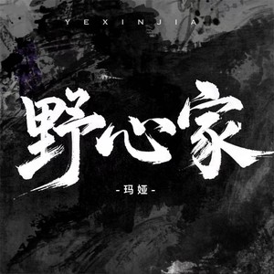 野心家（可是我啊听见风）