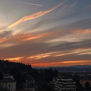 我要的是绝对压制 (plain jane)