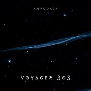 Voyager 303