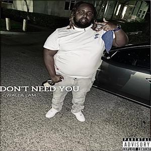Don't Need You (Explicit)