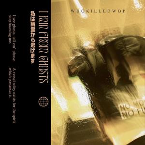 Chromosomes (Explicit)