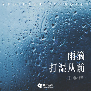雨滴打湿从前