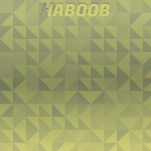 Haboob