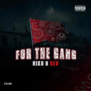 For The Gang (Explicit)