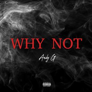 WHY NOT (Explicit)