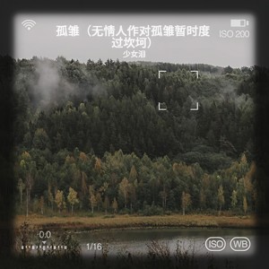 孤雏（无情人作对孤雏暂时度过坎坷）-少女泪