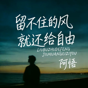 阿悟 - 留不住的风就还给自由 (伴奏)