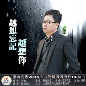 越想忘记越想你封面
